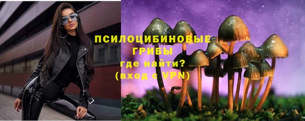 прущая мука Армянск