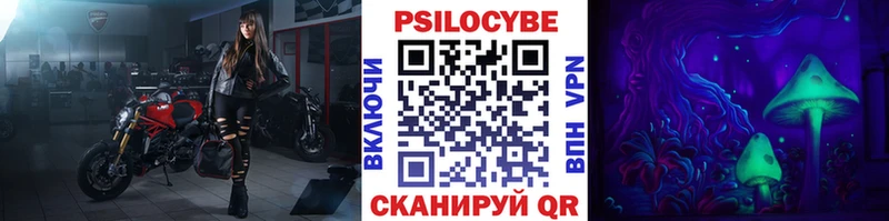 Псилоцибиновые грибы Psilocybine cubensis Лиски